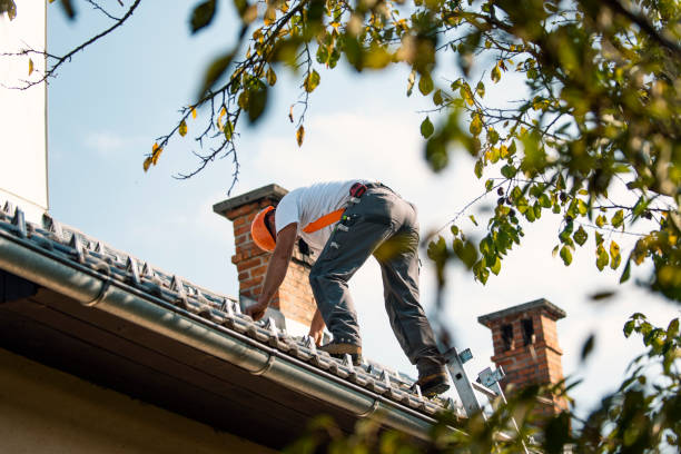 Best Residential Roofing Contractor  in Pine Manor, FL